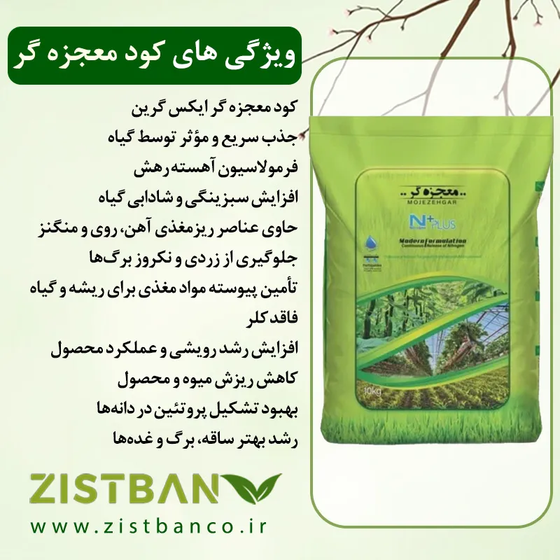 کود معجزه گر برای هندوانه