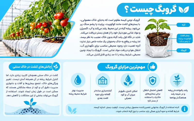 گروبگ چیست؟