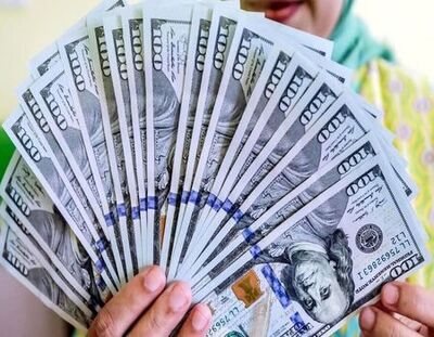 چگونه میلیاردها دلار ارز به کشور بازگشت؟